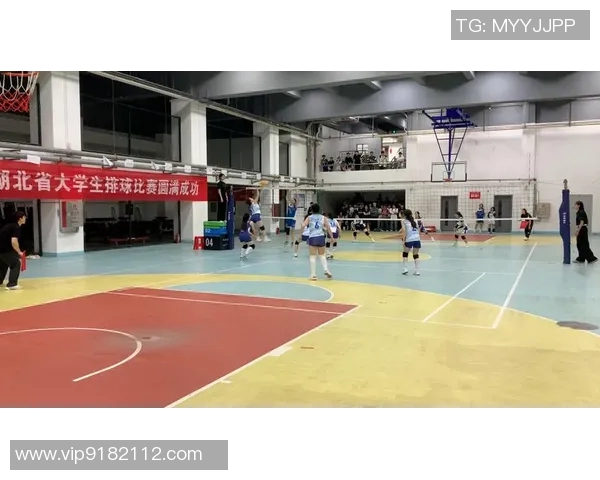 武汉排球队在洲际杯中的心理素质表现分析与启示