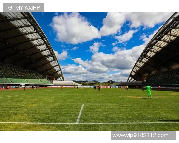 西安足球队逆袭之路揭秘欧锦赛背后的奋斗与荣耀 西安足球队逆袭之路揭秘欧锦赛背后的奋斗与荣耀