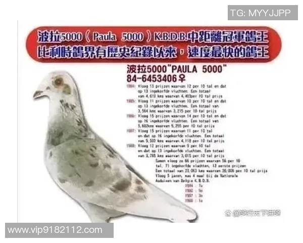 足球明星余伟亮的传奇之路与辉煌成就解析 足球明星余伟亮的传奇之路与辉煌成就解析